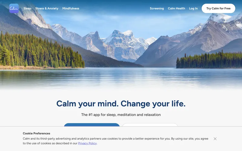 Screenshot of the Experience Calm website